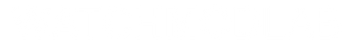 Watch Mod Lab